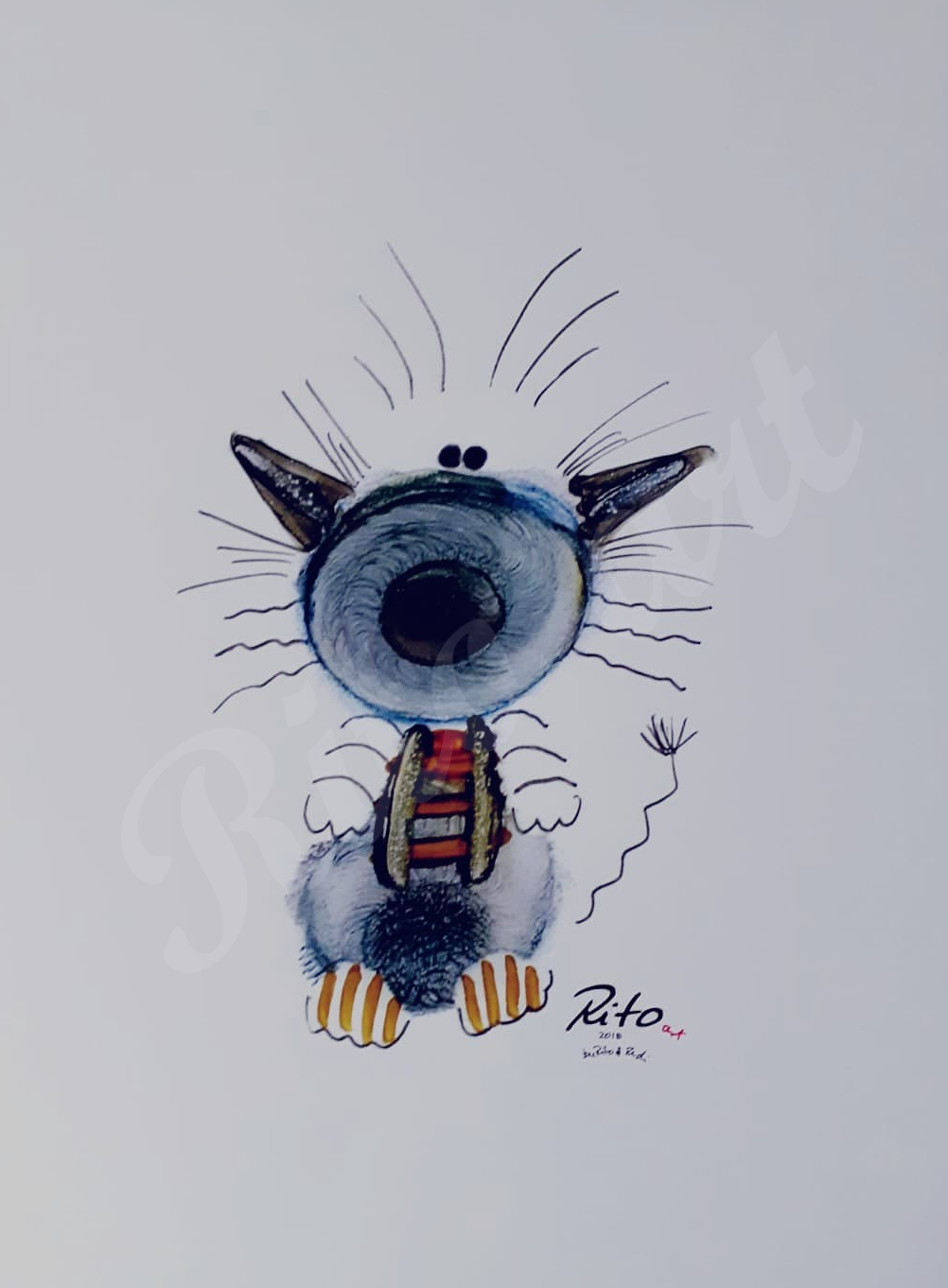 HundKatz012 HundKatz012