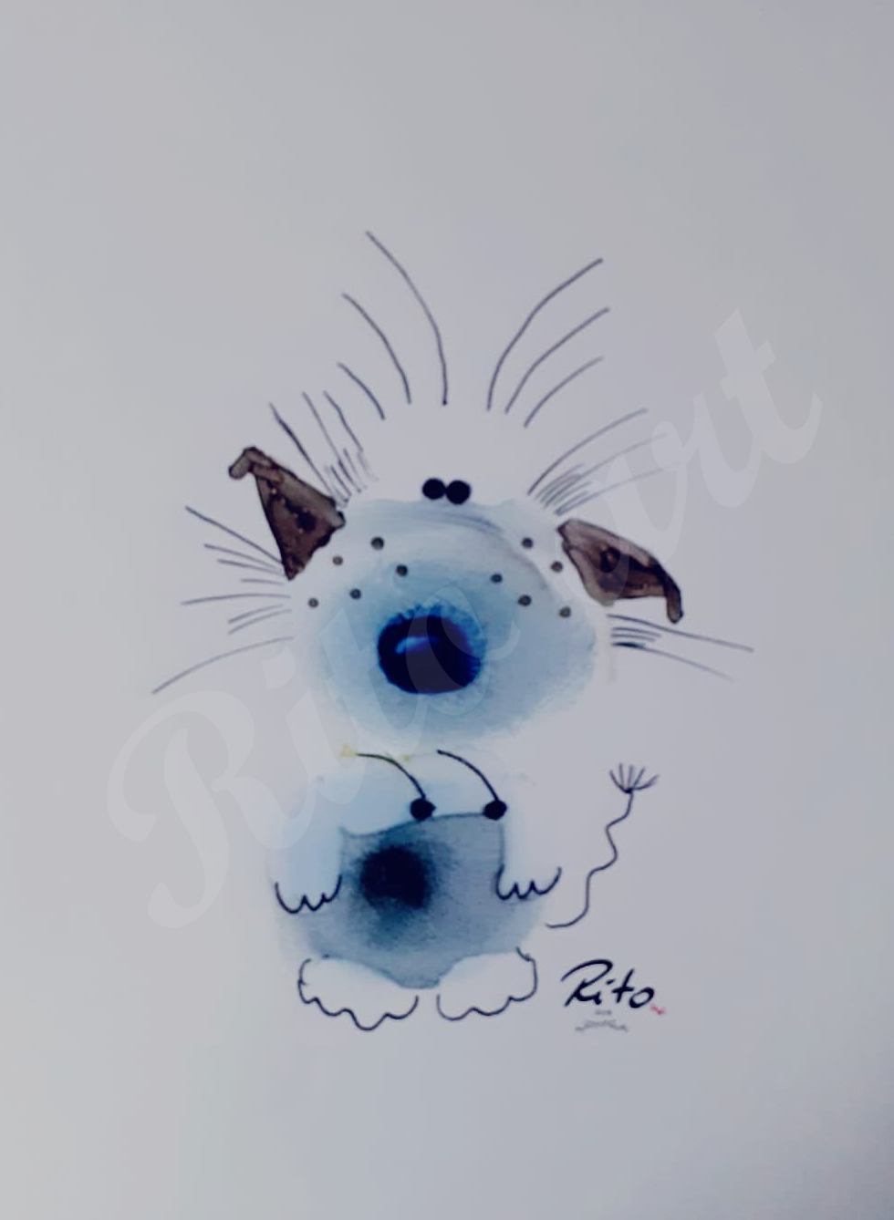 HundKatz070 HundKatz070