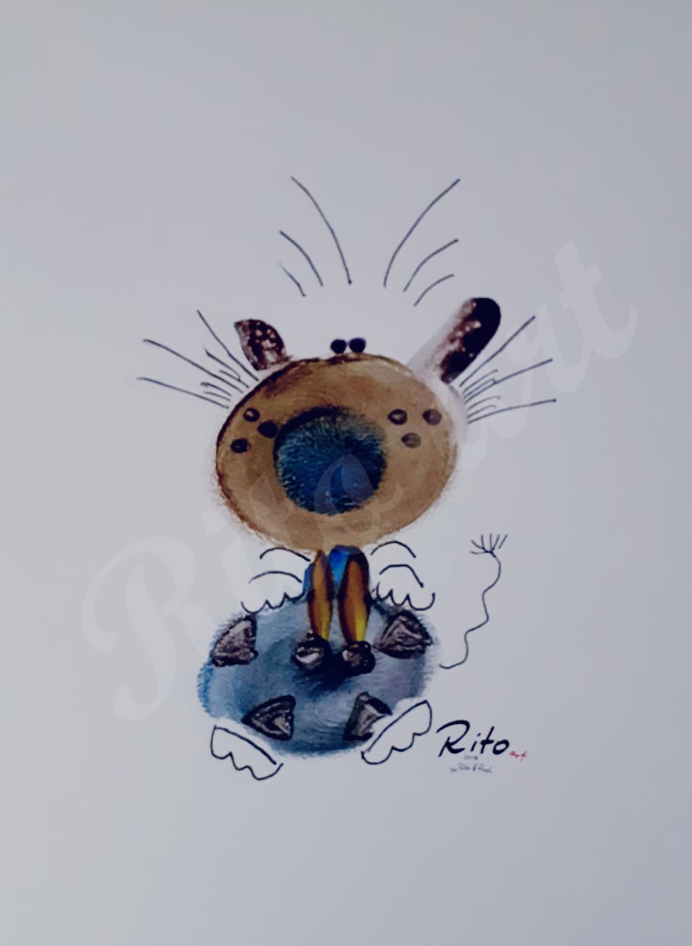 HundKatz095 HundKatz095