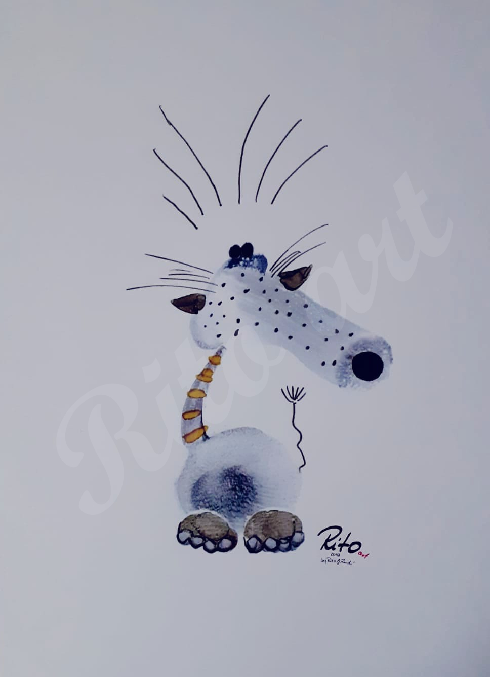 HundKatz113 HundKatz113